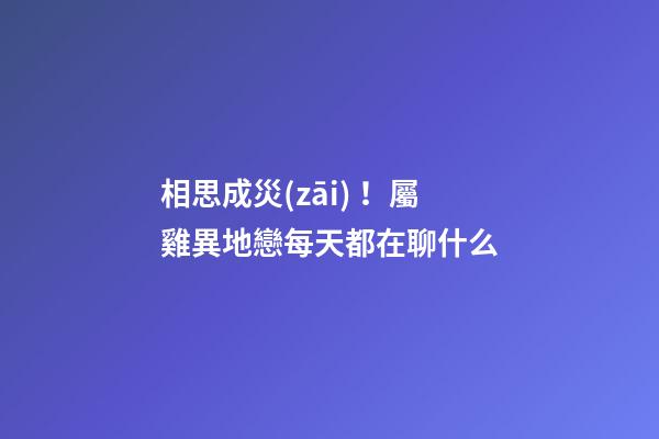 相思成災(zāi)！屬雞異地戀每天都在聊什么
